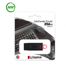 USB 256GB KINGSTON DataTraveler Exodia DTX (USB3.2)