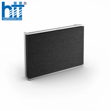 Loa Bang & Olufsen Beosound Level