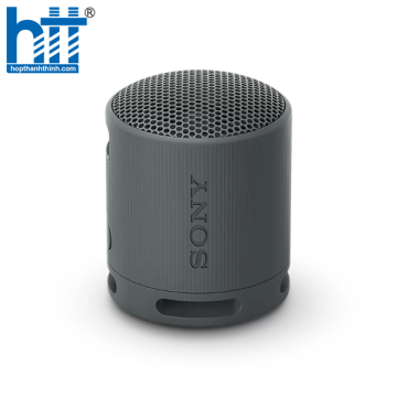 Loa Bluetooth di động Sony SRS-XB100