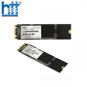 Ổ cứng SSD Kingspec 256GB NT-256 M2