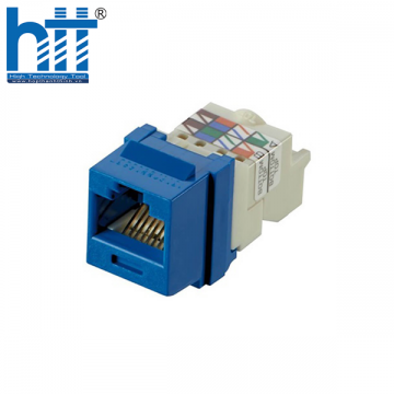 Nhân mạng cat6 – Unshielded modular jack Panduit – TP style (Blue)
